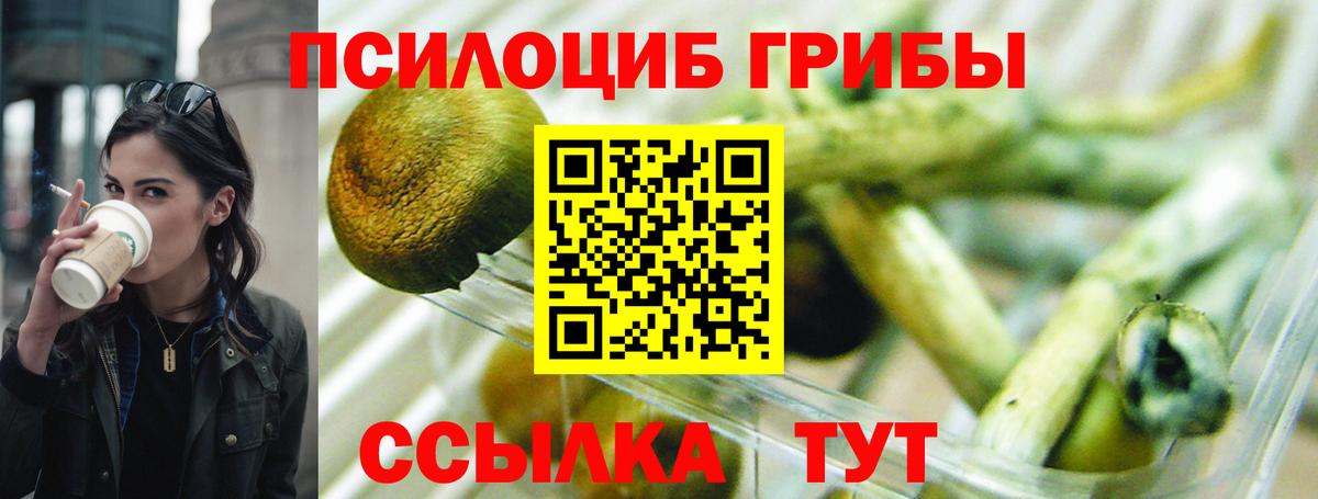 Уссурийск  Псилоцибиновые грибы Psilocybine cubensis  Вход с VPN 